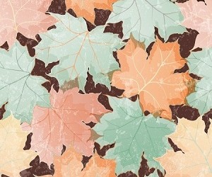 Colori di tendenza autunno/inverno 2013